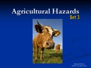 Agricultural Hazards