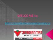 Carpet Cleaning Business