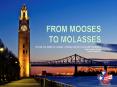 FROM MOOSEs TO MOLASSES PowerPoint PPT Presentation