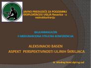 dr Miodrag Denic dipl ing rud