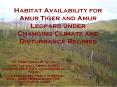 Habitat Availability for Amur Tiger and Amur Leopard under Changing Climate and Disturbance Regimes PowerPoint PPT Presentation