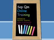 sap qm online training in chennai