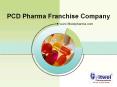 PCD Pharma Franchise Companies Seeking For Opportunities To Expand Their Business PowerPoint PPT Presentation