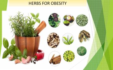 Natural Herbs for Weight Loss | Planetayurveda.com