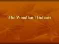 The Woodland Indians PowerPoint PPT Presentation