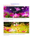 Download Flowers HD Wallpapers With Standard Resolution (1) PowerPoint PPT Presentation
