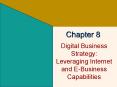 Digital Business Strategy: Leveraging Internet and E-Business Capabilities PowerPoint PPT Presentation
