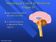Neurological Control of Movement Chapter 20 PowerPoint PPT Presentation