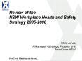 Review of the NSW Workplace Health and Safety Strategy 2005-2008 PowerPoint PPT Presentation