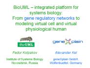 BioUML 