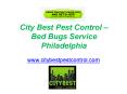 Bed Bugs Service Philadelphia - www.citybestpestcontrol.com PowerPoint PPT Presentation