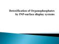 Detoxification of Organophosphates by INP-surface display systems PowerPoint PPT Presentation