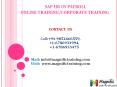 sap us payroll online training in malaysia PowerPoint PPT Presentation