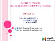 sap us payroll online training in malaysia