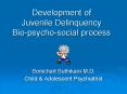Development of Juvenile Delinquency Bio-psycho-social process PowerPoint PPT Presentation