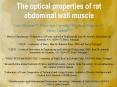 The optical properties of rat abdominal wall muscle PowerPoint PPT Presentation