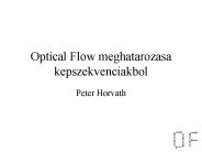 Optical Flow meghatarozasa kepszekvenciakbol