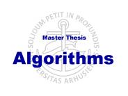 Master Thesis