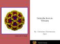 Introduction to Viruses PowerPoint PPT Presentation