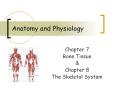 Anatomy and Physiology PowerPoint PPT Presentation