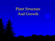 Plant Structure And Growth