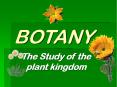 BOTANY PowerPoint PPT Presentation