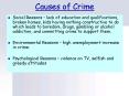 Causes of Crime PowerPoint PPT Presentation