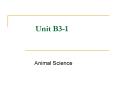 Unit B3-1 PowerPoint PPT Presentation