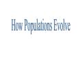 How Populations Evolve PowerPoint PPT Presentation
