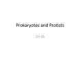 Prokaryotes and Protists PowerPoint PPT Presentation