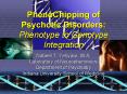 PhenoChipping of Psychotic Disorders: Phenotype to Genotype Integration PowerPoint PPT Presentation