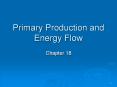Primary Production and Energy Flow PowerPoint PPT Presentation