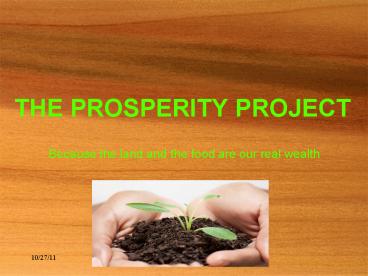 PPT – THE PROSPERITY PROJECT PowerPoint presentation | free to view ...