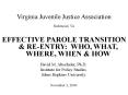 Virginia Juvenile Justice Association PowerPoint PPT Presentation