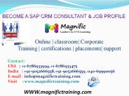sap crm online training in sweden