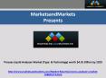 Process Liquid Analyzer Market PowerPoint PPT Presentation