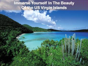 Immerse Yourself In The Beauty Of The US Virgin Islands