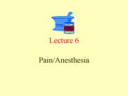Pain/Anesthesia