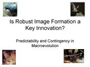 Is Robust Image Formation a Key Innovation?