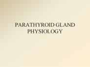 PARATHYROID GLAND PHYSIOLOGY