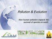 Pollution