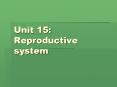 Unit 15: Reproductive system PowerPoint PPT Presentation