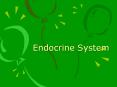 Endocrine System PowerPoint PPT Presentation