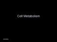 Cell Metabolism PowerPoint PPT Presentation