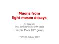 Muons from light meson decays PowerPoint PPT Presentation