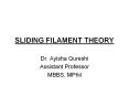 SLIDING FILAMENT THEORY PowerPoint PPT Presentation
