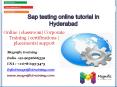Sap testing online tutorial in Hyderabad