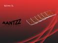 Aantzz (4) PowerPoint PPT Presentation
