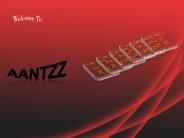 Aantzz (4)