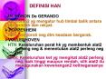 DEFINISI HAN PowerPoint PPT Presentation